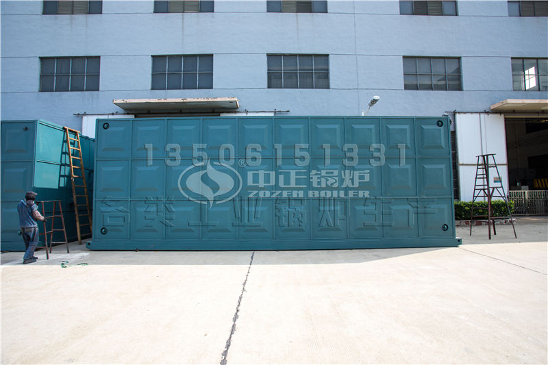 116mw新型層燃燃煤熱水鍋爐