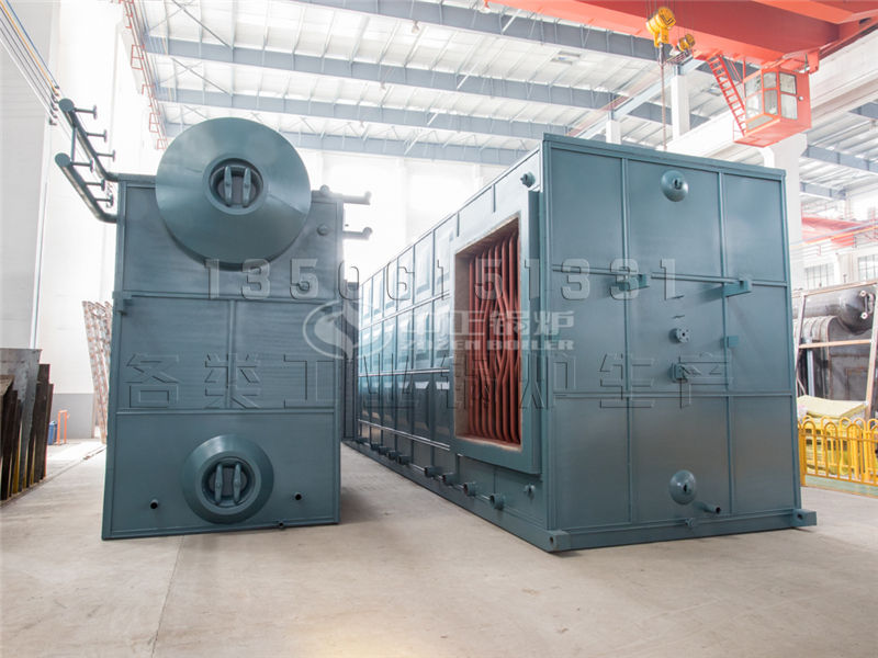 25噸燃?xì)忮仩t